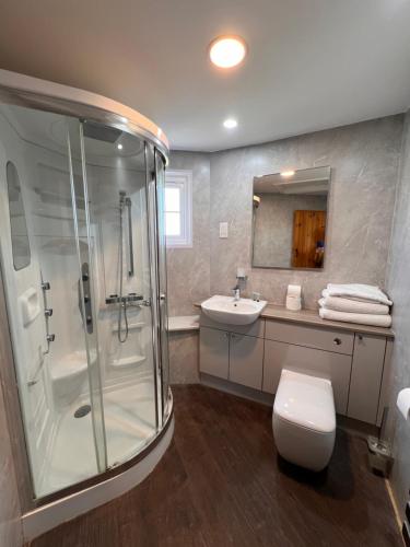 a bathroom with a shower and a toilet and a sink at Hunston Mill Self Catering Dog Stay For Free in Chichester