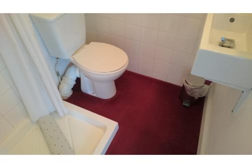 a bathroom with a white toilet and a sink at The Belgrave Hotel Tenby in Tenby