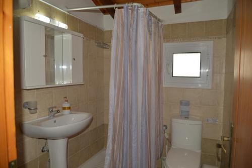 a bathroom with a sink and a shower curtain at Tonia Apartments Kontogialos in Pelekas