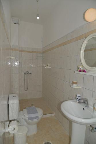 a bathroom with a toilet and a sink at Tonia Apartments Kontogialos in Pelekas