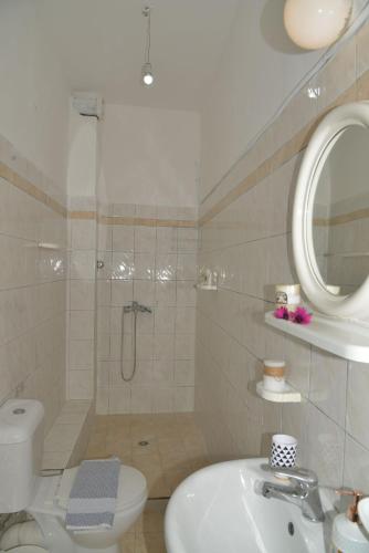 a bathroom with a shower and a toilet and a sink at Tonia Apartments Kontogialos in Pelekas