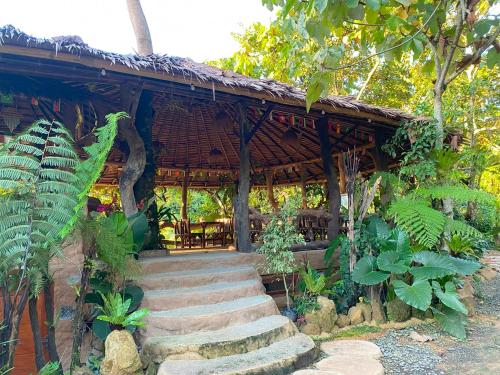Zahrada ubytování TheJungleGuide - Lodges & Treks