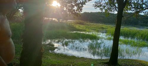 a reflection of the sun in a pond with trees at Nosso Cantinho Delfinópolis Serra da Canastra in Delfinópolis