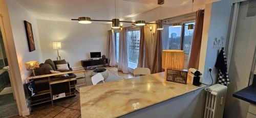 - une cuisine et un salon avec un grand comptoir dans l'établissement Appartement chaleureux Belle vue Proche de Paris, à Boulogne-Billancourt