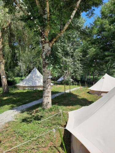 un groupe de tentes dans un champ arboré dans l'établissement Camping de Salviac, à Salviac