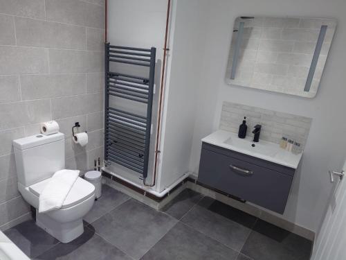 a bathroom with a toilet and a sink and a shower at Dancenter Birmingham Airport near NEC in Kenilworth