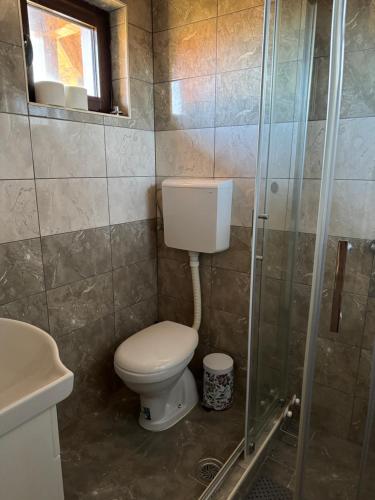 Un baño con inodoro y ducha en Nest&Rest-Vikendice Tara 2, en Sekulić 