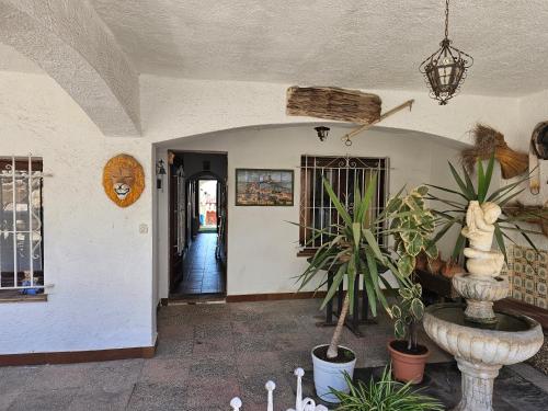 a living room with a potted plant and a hallway at Suitte rústica in Begur