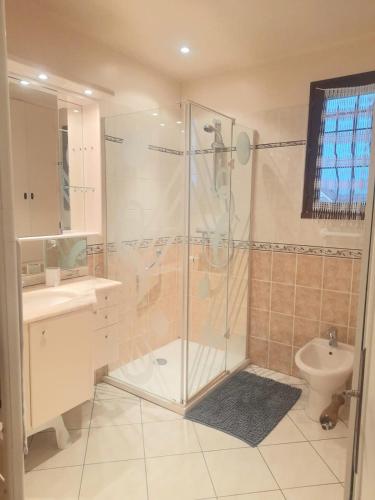une salle de bain avec une douche, un lavabo et des toilettes dans l'établissement Charmante maison sur Auxerre, à Auxerre