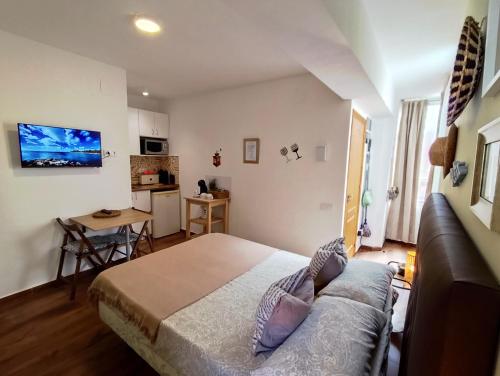 a living room with a bed and a couch at Apartamento Estudio VERDE in Almuñécar