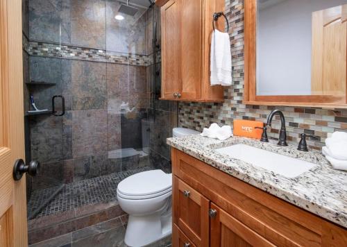 a bathroom with a toilet and a shower and a sink at Seasons 219 in Avon