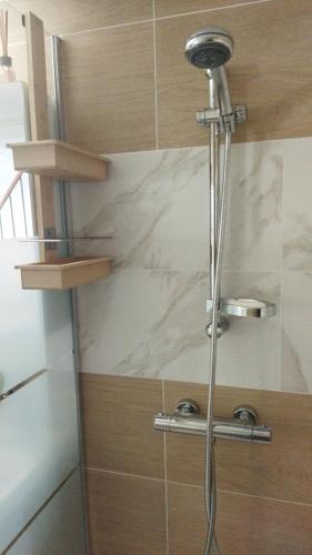 La salle de bains est pourvue d'une douche et d'un mur en marbre. dans l'établissement La Barque, au Barcarès