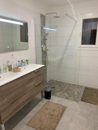 une salle de bain avec un lavabo et une douche dans l'établissement Villa les Oliviers, à Bédoin