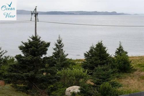 a cross on a pole near some trees and the water at Scenic Seal Cove Nature Retreat Hot Tubatv Trail in Holyrood
