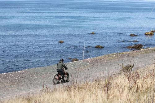 a man riding a bike on a beach near the water at Scenic Seal Cove Nature Retreat Hot Tubatv Trail in Holyrood