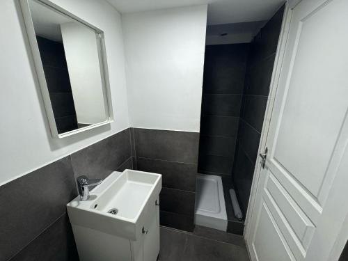 une salle de bain avec un lavabo, des toilettes et un miroir dans l'établissement Studio cosy proche du centre de Lyon, à Lyon