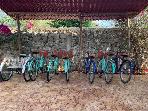 a row of bikes parked next to a stone wall at Quinta YaaxBe in Homún