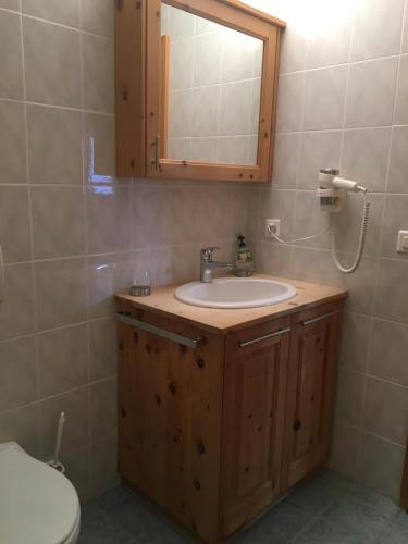 a bathroom with a sink and a mirror at Residence Miragolf in Madulain