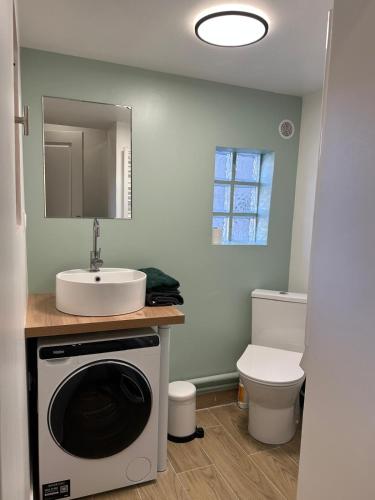 une salle de bain avec une machine à laver et un lavabo dans l'établissement Studio - Proche Centrex & Disneyland, à Noisy-le-Grand