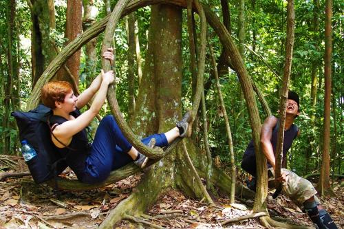 two men are playing in a tree in the forest at TheJungleGuide - Lodges & Treks in Bukit Lawang