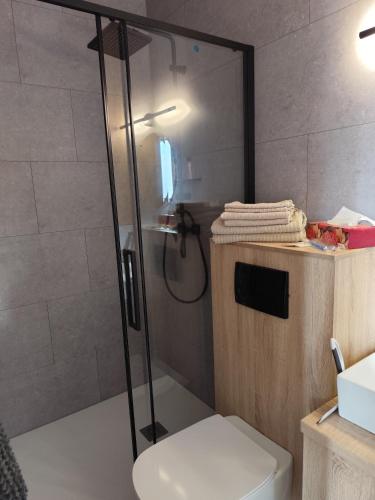 a bathroom with a shower with a toilet and a sink at Little Tiny Village Haus 1 in Fußach