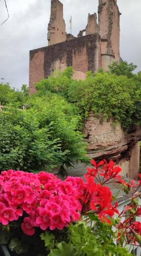a bunch of pink flowers in front of a castle at Hotel-Restaurant Burg-Ramstein in Kordel