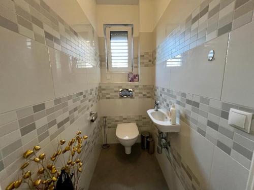 a bathroom with a toilet and a sink at Fantastic villa in Fischamend in Fischamend Dorf