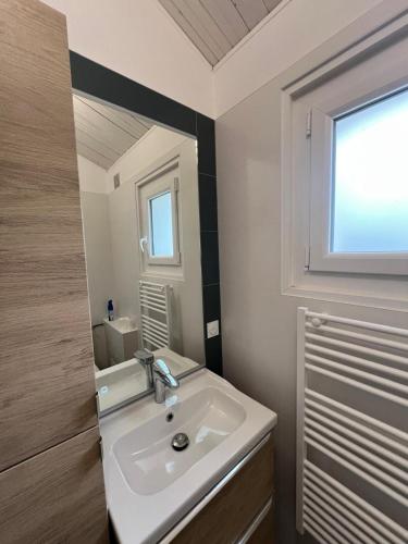 une salle de bain avec un lavabo et un miroir dans l'établissement A l'ombre des pins, à La Terrière