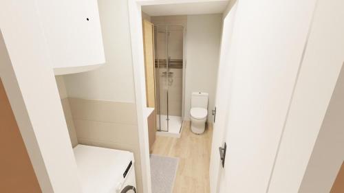 une petite salle de bain avec toilettes et douche dans l'établissement Le Rubis Dijon Centre Historique Logement Neuf, à Dijon