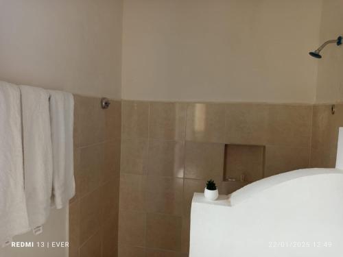 a bathroom with a shower with a white towel at Quinta YaaxBe in Homún