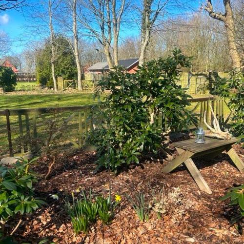 a wooden bench in a garden with a tree at Idyllisk sommerhus tæt ved Blåvand in Billum