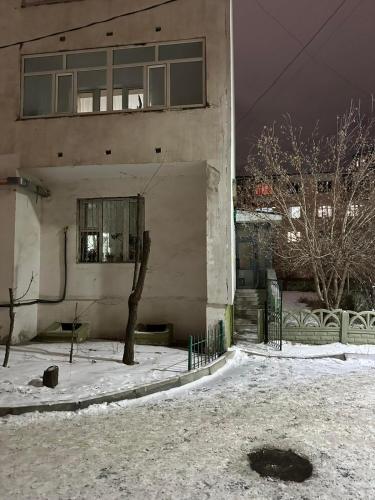 a building with a tree in the snow at Mickey central hostel in Ulaanbaatar