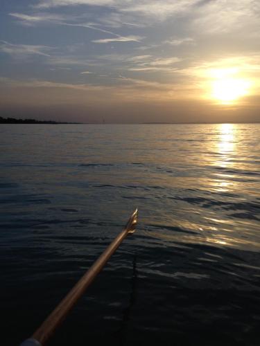 a boat with a paddle in the water at sunset at Royal Mediterran in Siófok