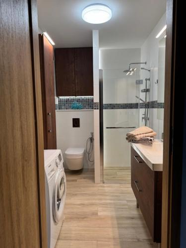グダニスクにあるAmber Island - Second Home, Gdańsk Wyspa Sobieszewskaのバスルーム(洗濯機、トイレ、シンク付)