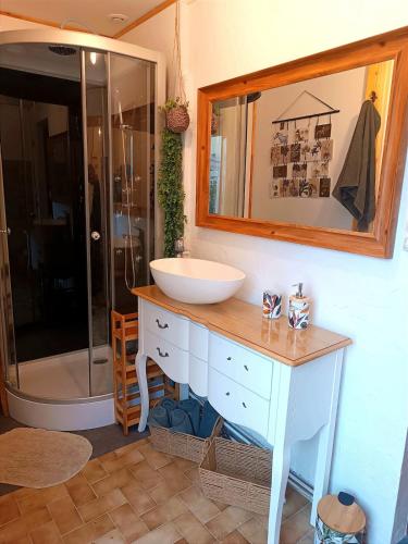 une salle de bain avec un lavabo et une douche dans l'établissement Le Logis du Vieux Rempart, à Montreuil-Bellay