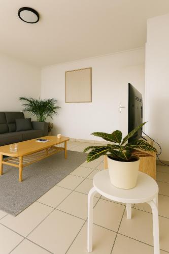 - un salon avec un canapé, une table et une plante dans l'établissement Charmant appartement avec terrasse, au Cannet