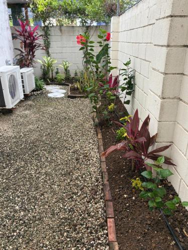 a garden with some plants and a wall at Palm View 4 in Watts Village