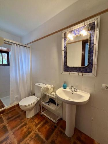 un bagno con lavandino, WC e specchio di Hotel Buen Retiro Casa de la Música y el Sonido a Güímar