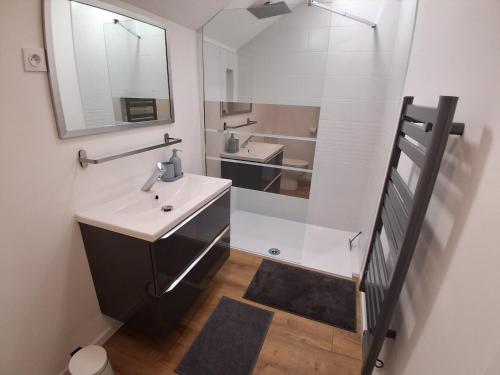 une salle de bain avec un lavabo et un miroir dans l'établissement LES RONCES, à Reterre