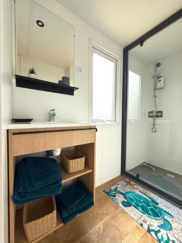une salle de bain avec un lavabo et un miroir dans l'établissement MobilHome de la Coccinelle, à Gujan-Mestras