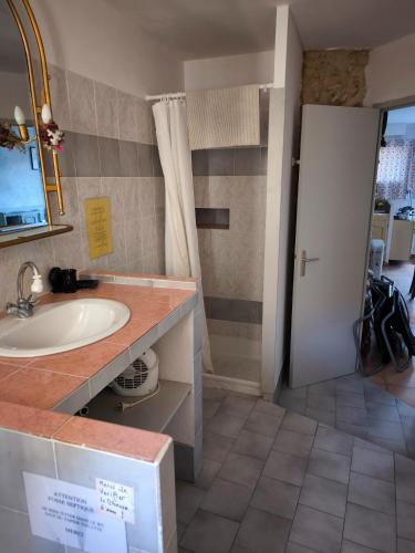 une salle de bain avec un lavabo, un miroir et une douche dans l'établissement Bastide la Fondue, à Allemagne-en-Provence