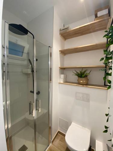 une salle de bain avec une douche en verre et des toilettes dans l'établissement Charmant Studio Toulouse - Tramway & Zénith, à Toulouse