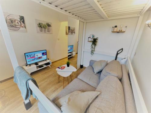 un salon avec un canapé et une télévision dans l'établissement Charmant Studio Toulouse - Tramway & Zénith, à Toulouse