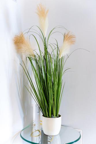 a plant in a white vase on a glass table at Apartament nou de 3,Stele Maria Parking free in Giroc