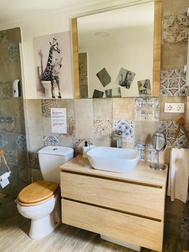 a bathroom with a toilet and a sink and a mirror at Musa del Paraíso in Novo Sancti Petri