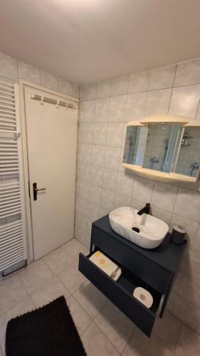 a bathroom with a sink and a mirror at Aventurin Rooms in Slunj