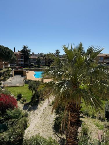 un palmier dans une cour avec une piscine dans l'établissement Superbe T2 à 10 min de la Mer, Piscine, Climatisation, Parking, au Lavandou