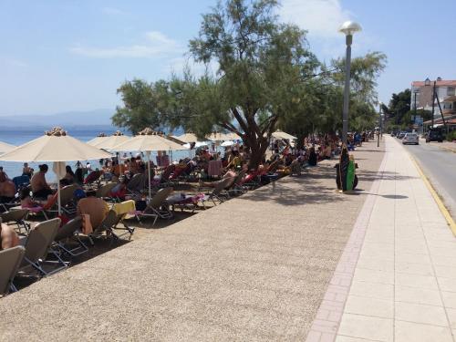 Gallery image of AM Apartment on the beach in Lefkandi Chalkidas