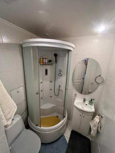 a bathroom with a shower and a toilet and a sink at Pilsētas Centra Tūristu Mītne in Daugavpils