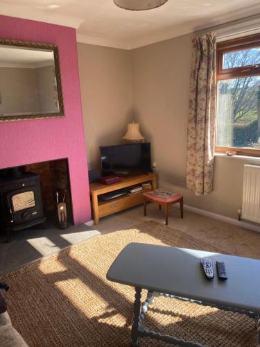 a living room with a fireplace and a pink wall at 4 beds, private parking, gr fl bedroom & shower WC in Wensley
